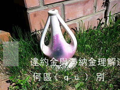 違約金與滯納金，理解違約金與滯納金：兩者有何區(qū)別？